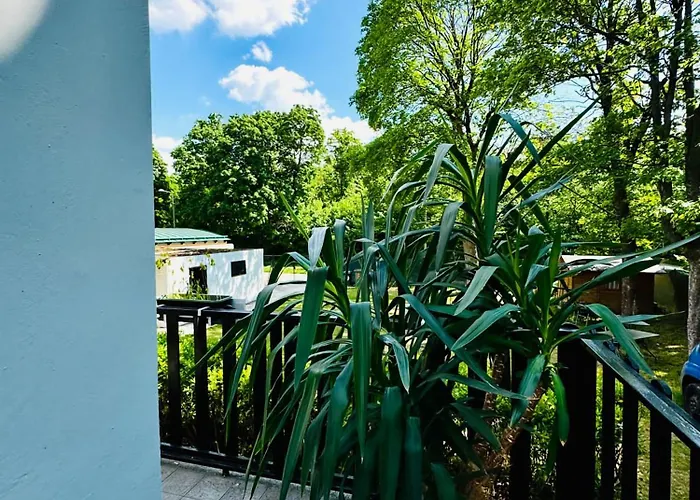 Daire Affordable In A With Garden Near Danube For Long