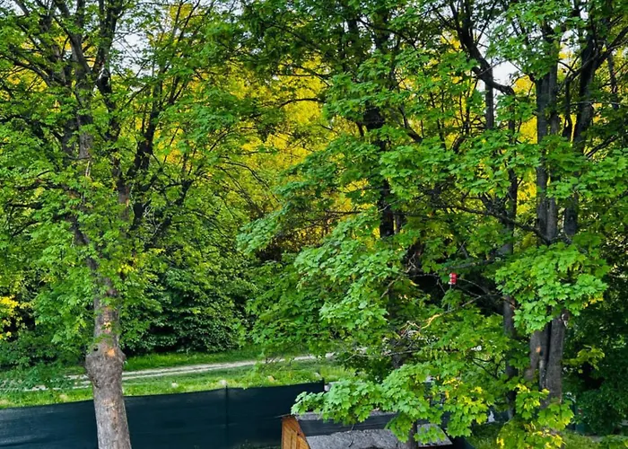 Daire Affordable In A With Garden Near Danube For Long
